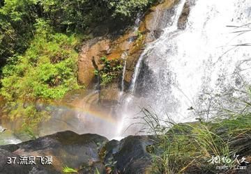 广州从化石门国家森林公园-流泉飞瀑照片