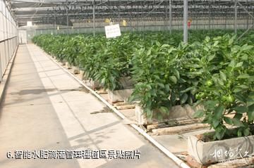 南寧八桂田園-智能水肥滴灌管理種植區照片