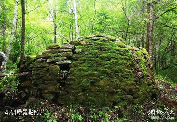 長白山老黑河遺址-碉堡照片