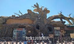 吐鲁番坎儿井传承区驴友相册