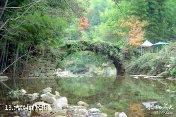 九龙山国家森林公园-清代北伸石桥照片
