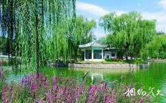 北京青年湖公園旅遊攻略之湖畔