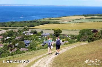 英国侏罗纪海岸-海岸沿线的农场照片