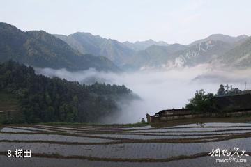 广西花坪国家级自然保护区-梯田照片