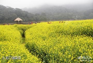 广州从化石门国家森林公园-石门油菜花照片