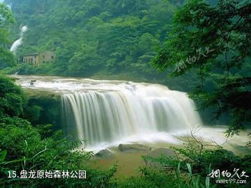 赤水风景区-盘龙原始森林公园照片