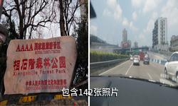 罗平相石阶森林公园驴友相册