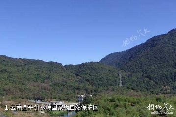 云南金平分水岭国家级自然保护区照片
