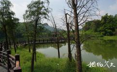 廣州大夫山森林公園旅遊攻略之人工湖
