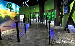 沭陽南湖公園旅遊攻略之中國沭陽花木博物館