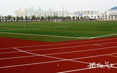 复旦大学校园概况之张江校区体育场