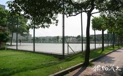 上海同濟大學校園概況之滬西排球場