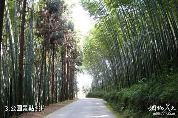 大竹五峰山國家森林公園-公園照片