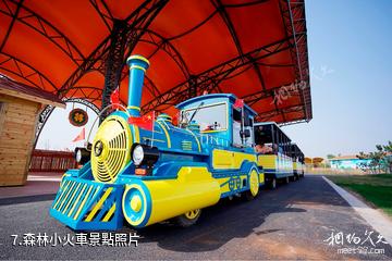 周口野生動物世界-森林小火車照片