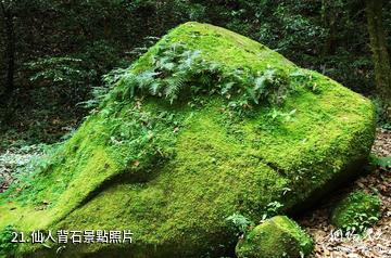 楚雄紫溪山風景區-仙人背石照片