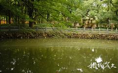 宁波阿育王寺旅游攻略之放生池