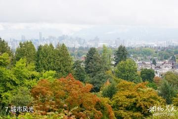 温哥华伊丽莎白女王公园-城市风光照片