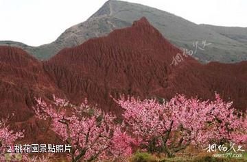 青海民和桃花園林-桃花園照片