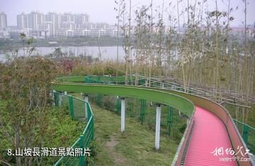 上海閔行體育公園-山坡長滑道照片