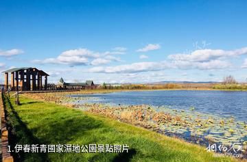 伊春新青國家濕地公園照片