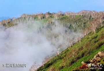 敦化老白山原始生態風景區-雲海照片