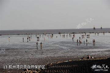 上海奉贤海湾旅游区-杭州湾贝壳自然保护区照片