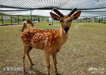 乌拉盖野狼谷景区-食草动物区照片