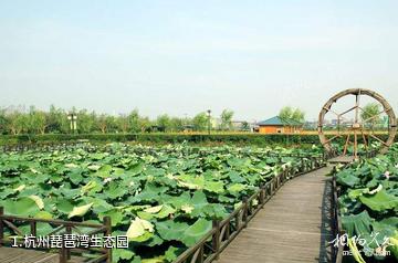杭州琵琶湾生态园照片