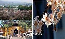 江苏光福古镇驴友相册