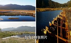 腾冲北海湿地驴友相册