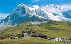 瑞士因特拉肯旅游攻略之荷黑马特绿地