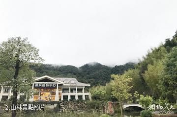 福建武夷溫泉度假區-山林照片