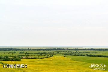 湖北龍感湖國家級自然保護區-濕地照片