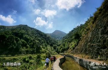 新兴广东天露山旅游度假区-原始森林照片