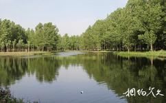 山西孝河国家湿地公园旅游攻略之孝亲池