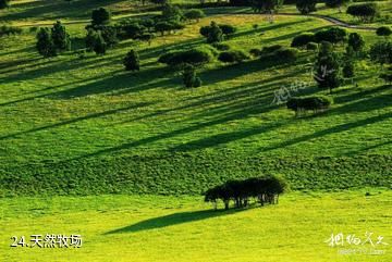 丽水瓯江漂流乐园-天然牧场照片