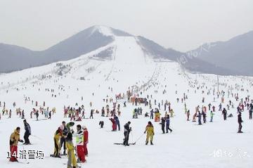 三门峡甘山国家森林公园-滑雪场照片