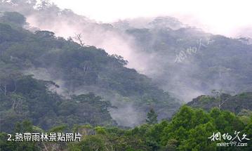 海南吊羅山國家森林公園-熱帶雨林照片