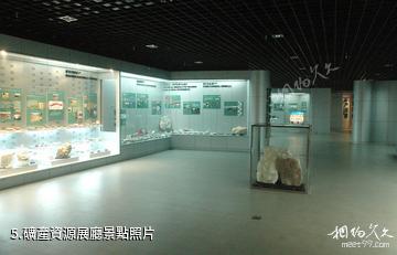 中國地質大學逸夫博物館-礦產資源展廳照片