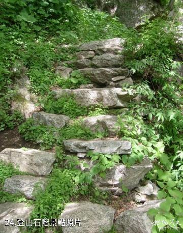 藍田王順山國家森林公園-登山石階照片