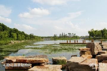 青州彌河文化旅遊區-荷花澱照片