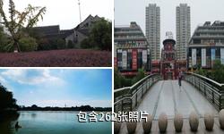 泰州凤城河风景区驴友相册