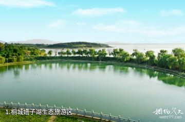 桐城嬉子湖生态旅游区照片