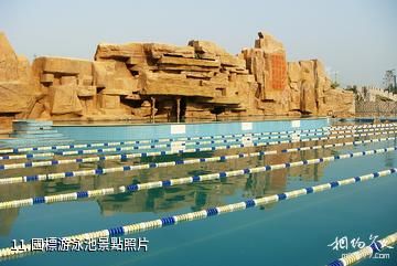 大慶北國溫泉養生休閑廣場-國標游泳池照片