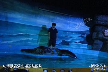 杭州海底世界-海獸表演劇場照片