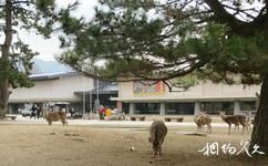 日本奈良旅遊攻略之奈良國立博物館