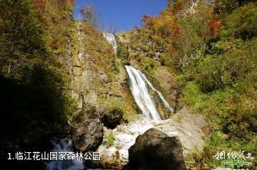 临江花山国家森林公园照片