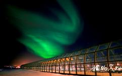 芬兰北极中心和拉普兰省立博物馆旅游攻略之北极光