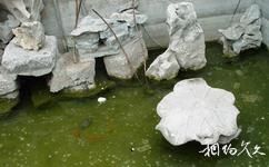 南京古鸡鸣寺旅游攻略之放生池
