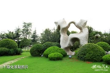 徐州金龍湖風景區-綠化照片